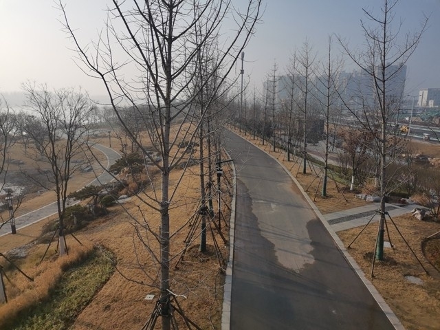 IMG_20191227_090730.jpg